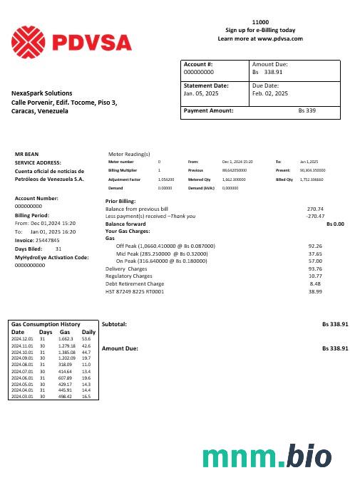 Wenezuela PDVSA Gas rachunek za usługi komunalne szablon w formacie Word i PDF